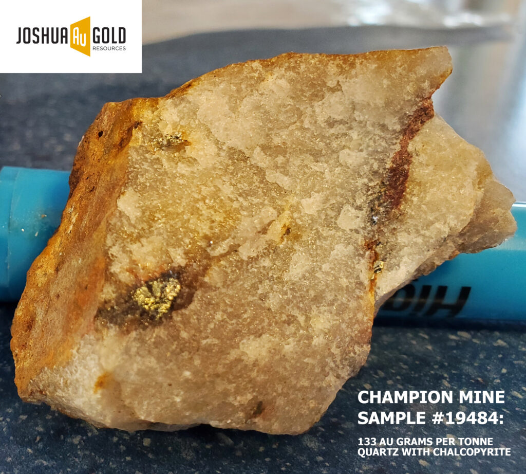 Champion Mine Gold Au sample photo 19484